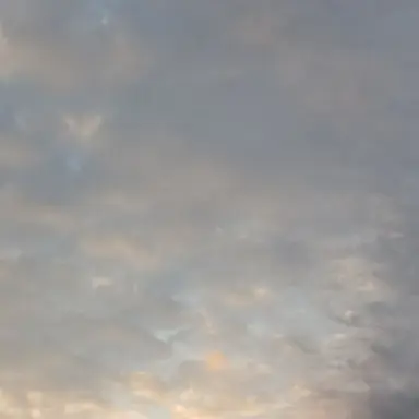 Profile image of 엄마