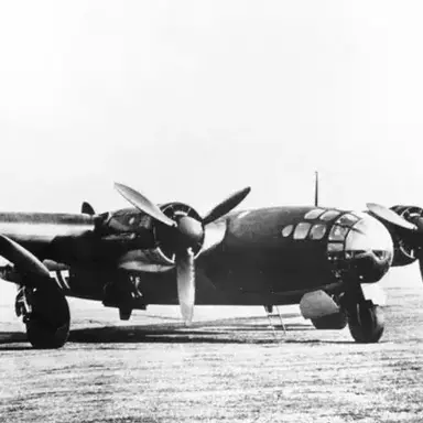 Profile image of Me 264