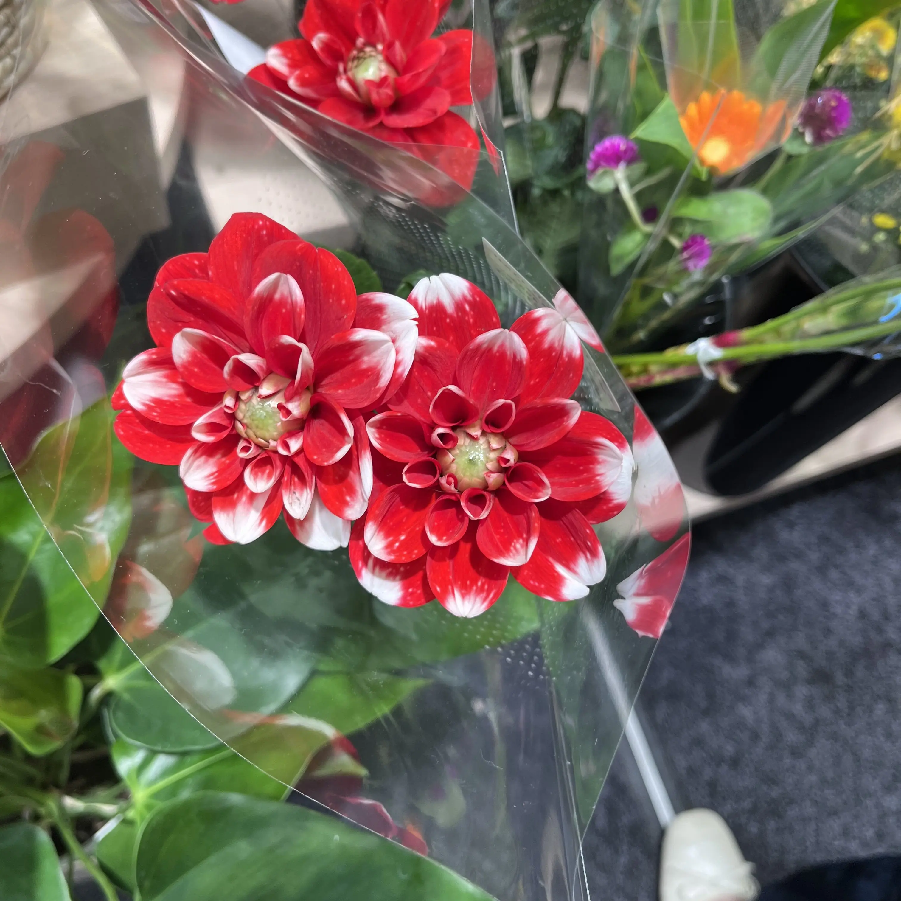 ShiftyBloom5067의 俺くんと話すやつ