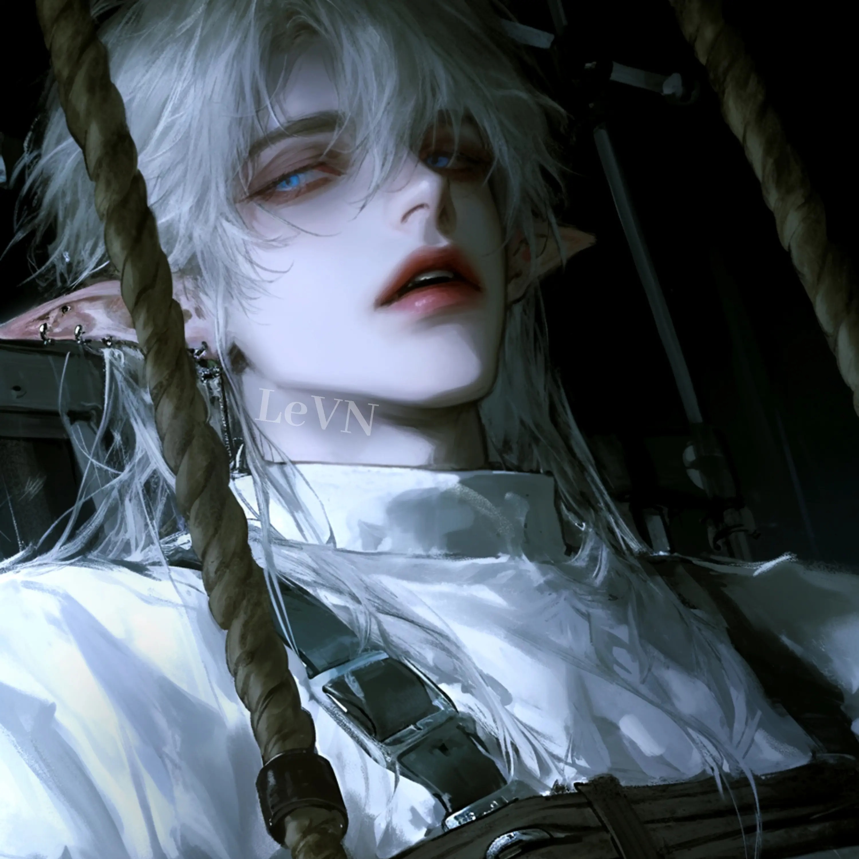 LeVN의 델타