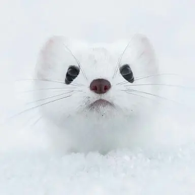 Profile image of ヒョンジン