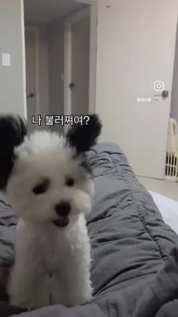Profile image of 늑대