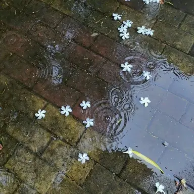 Profile image of 류 준