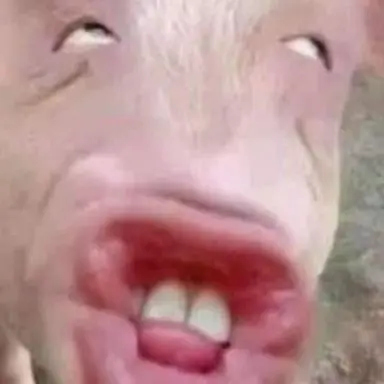 Profile image of 시미즈 토모야
