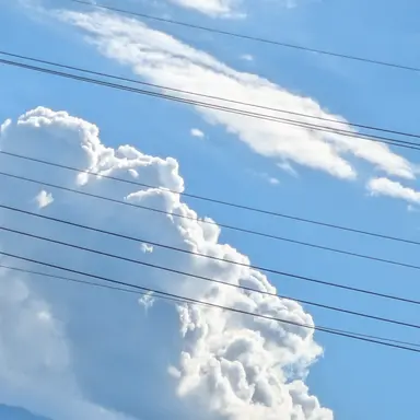 Profile image of 夏コラボメンバー