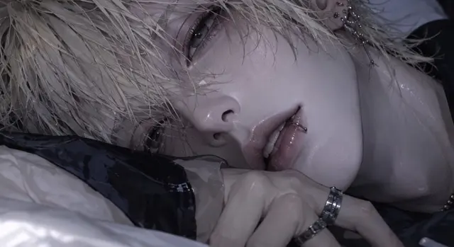 Profile image of 시라세 레이