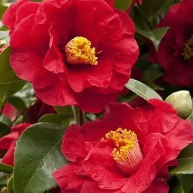 Profile image of 권민구 경위