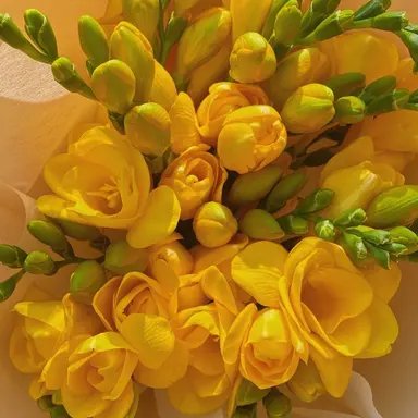 Profile image of 덕개 경장