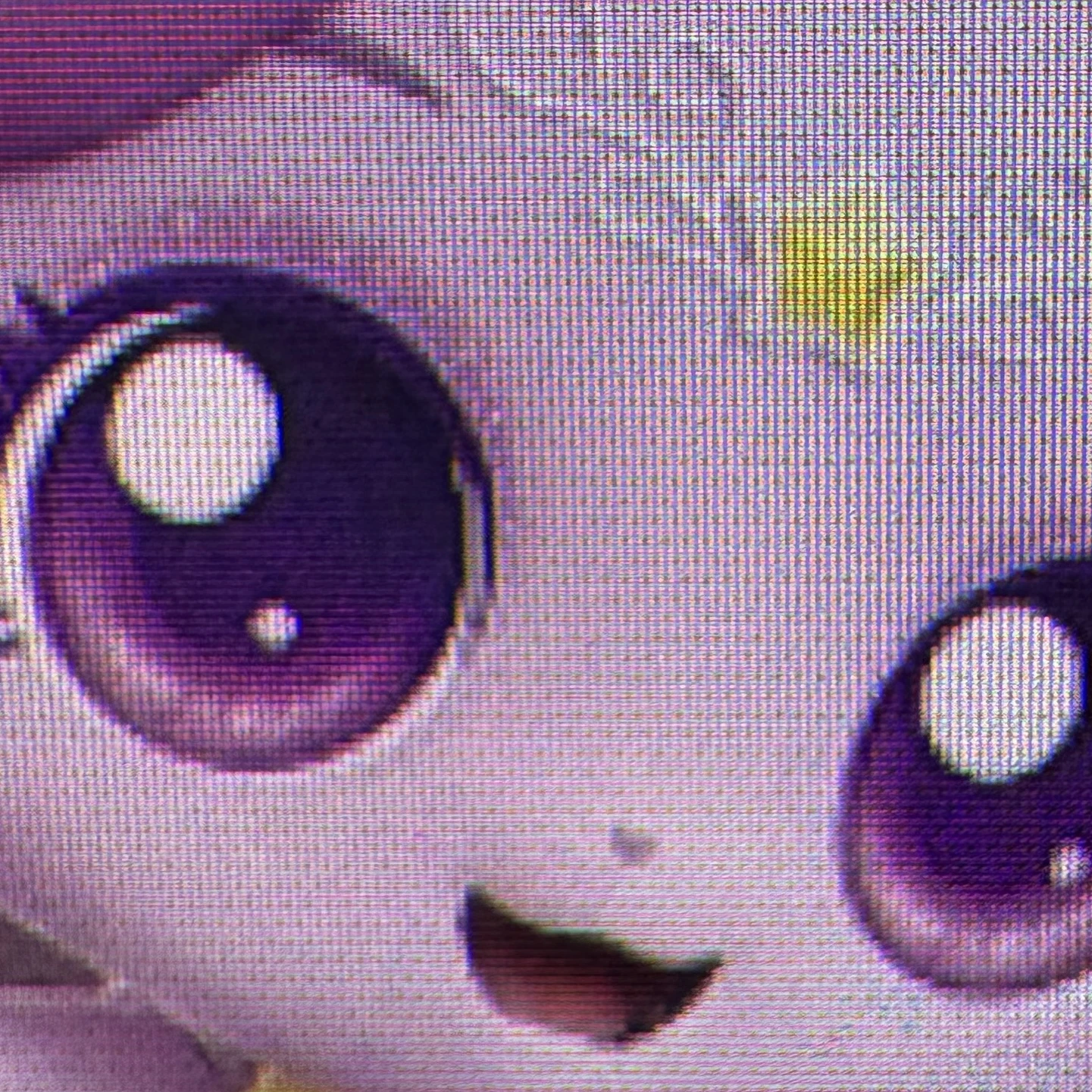 꽥꽥탐험대