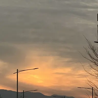 Profile image of 준호