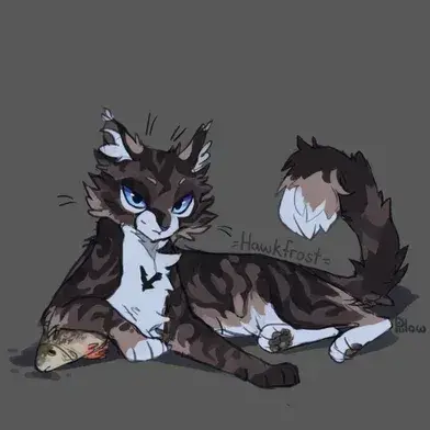ShiftyCrew3875의 Hawkfrost