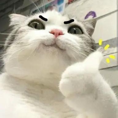 Profile image of 책책