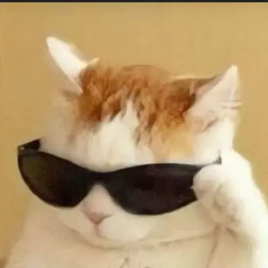 Profile image of 선글라스 고양이