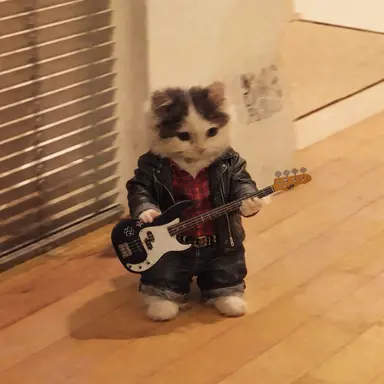 Profile image of 선글라스 고양이