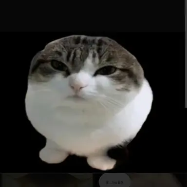 Profile image of 무양