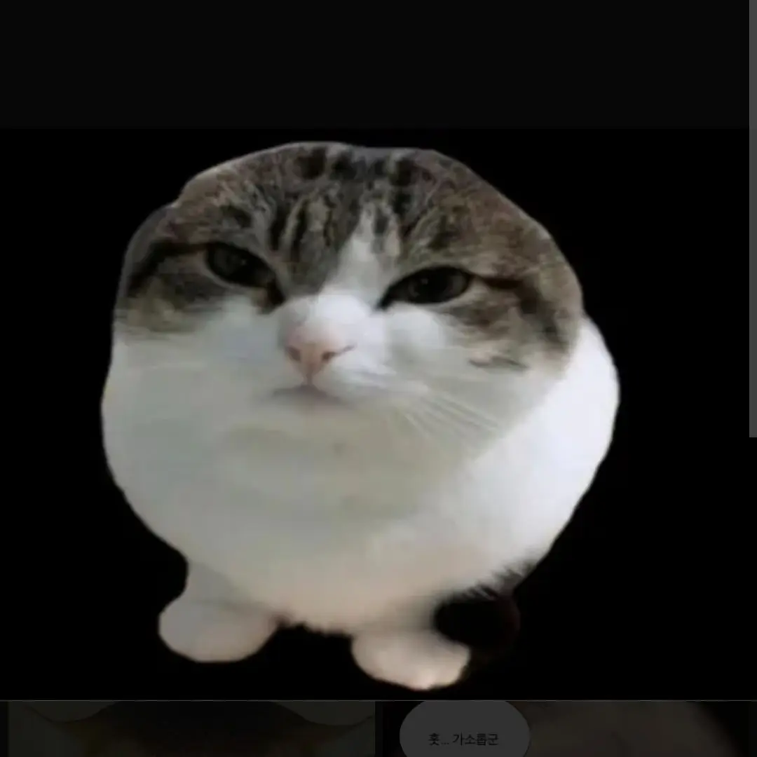 VagueMine6110의 고양이 초능력 세상