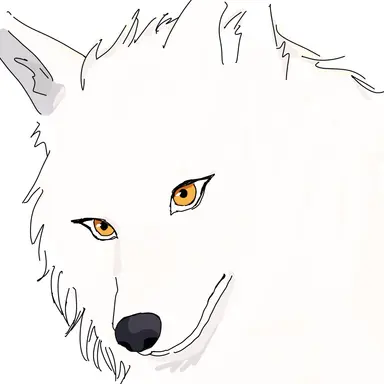 Profile image of 키리