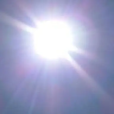 Profile image of 네온