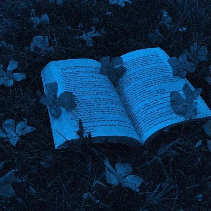 dreamy._.hari의 .