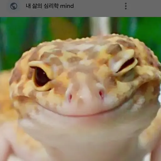 NOOD_0의 도마뱀(크림)