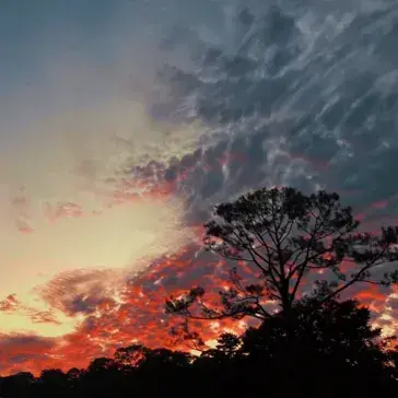 Profile image of Lachlan