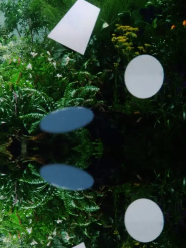 MGADAISUKI_1211의 なんで僕なんかを…