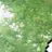 大橋和也
