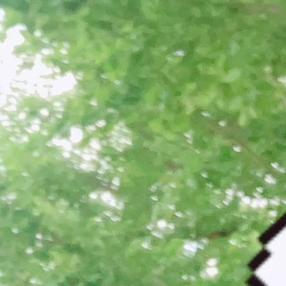 大橋和也