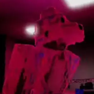 Profile image of 케이크 폭시