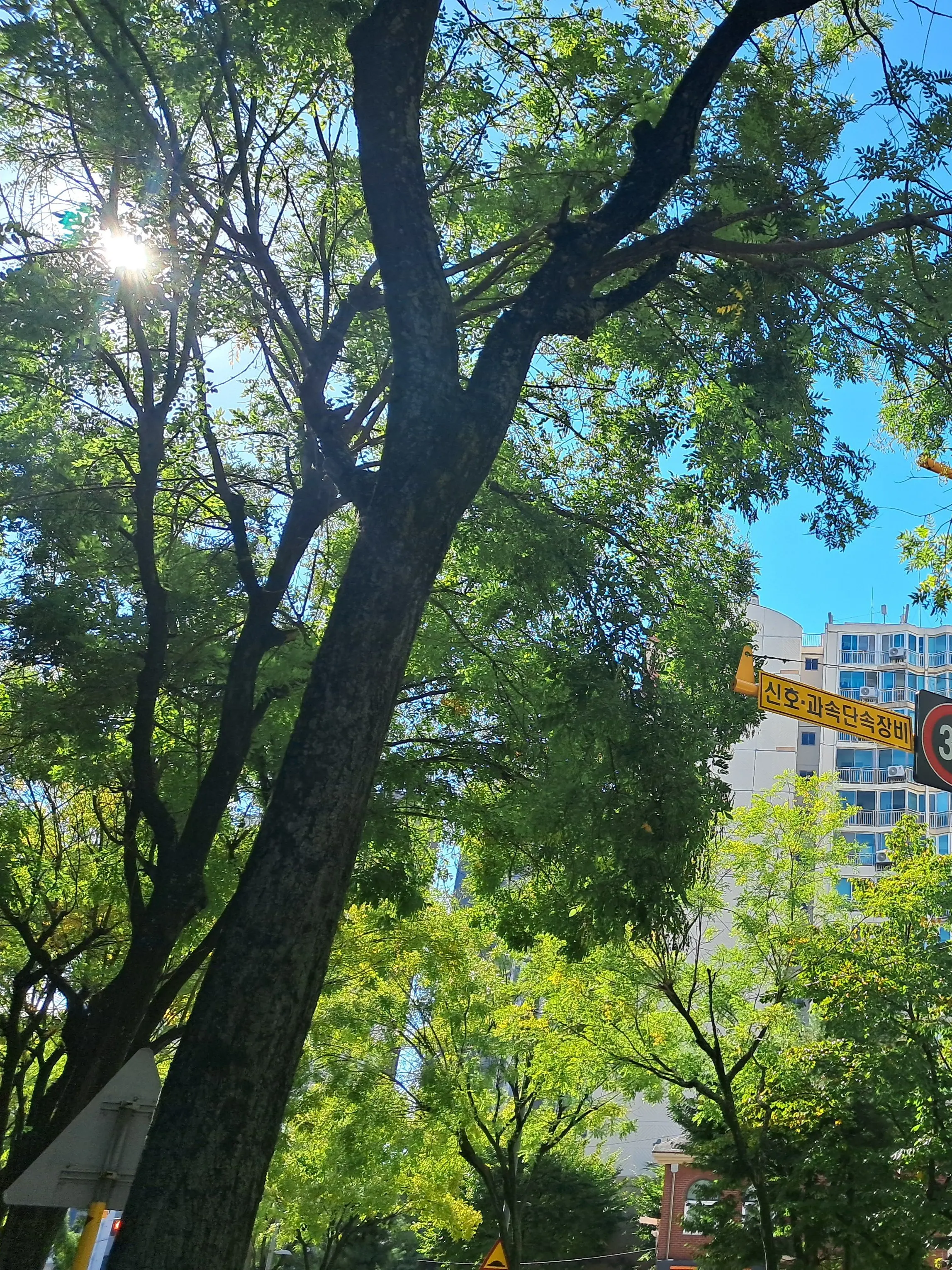Takusang의 저기, 번호 좀 주세요