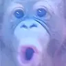Profile image of 아무거나 질문하세요