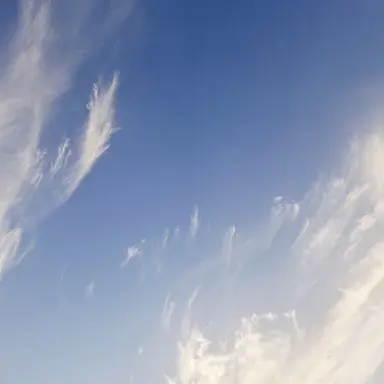 Profile image of 각별