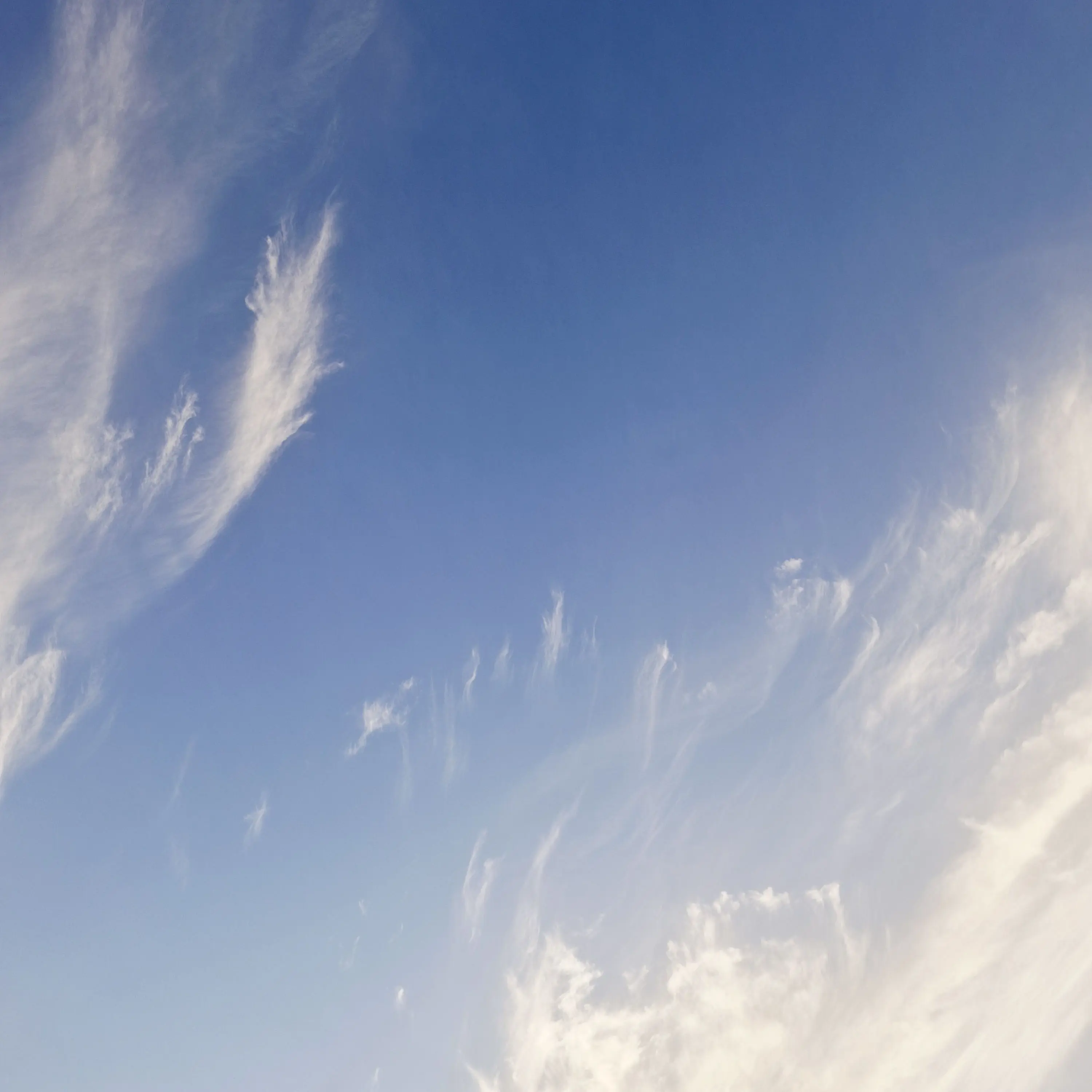 LazyArm2513의 나의 기억 낭실증 (픽셀리있음)여우○