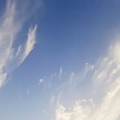 Profile image of 라더