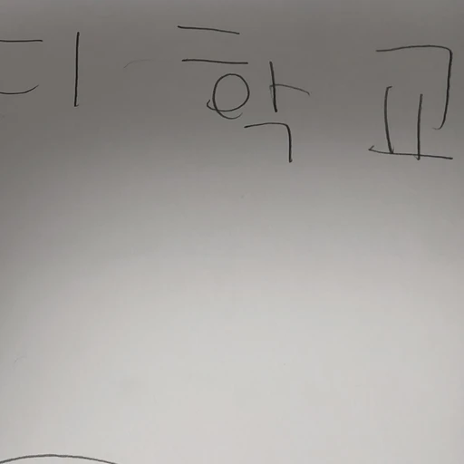 스키비디 학교