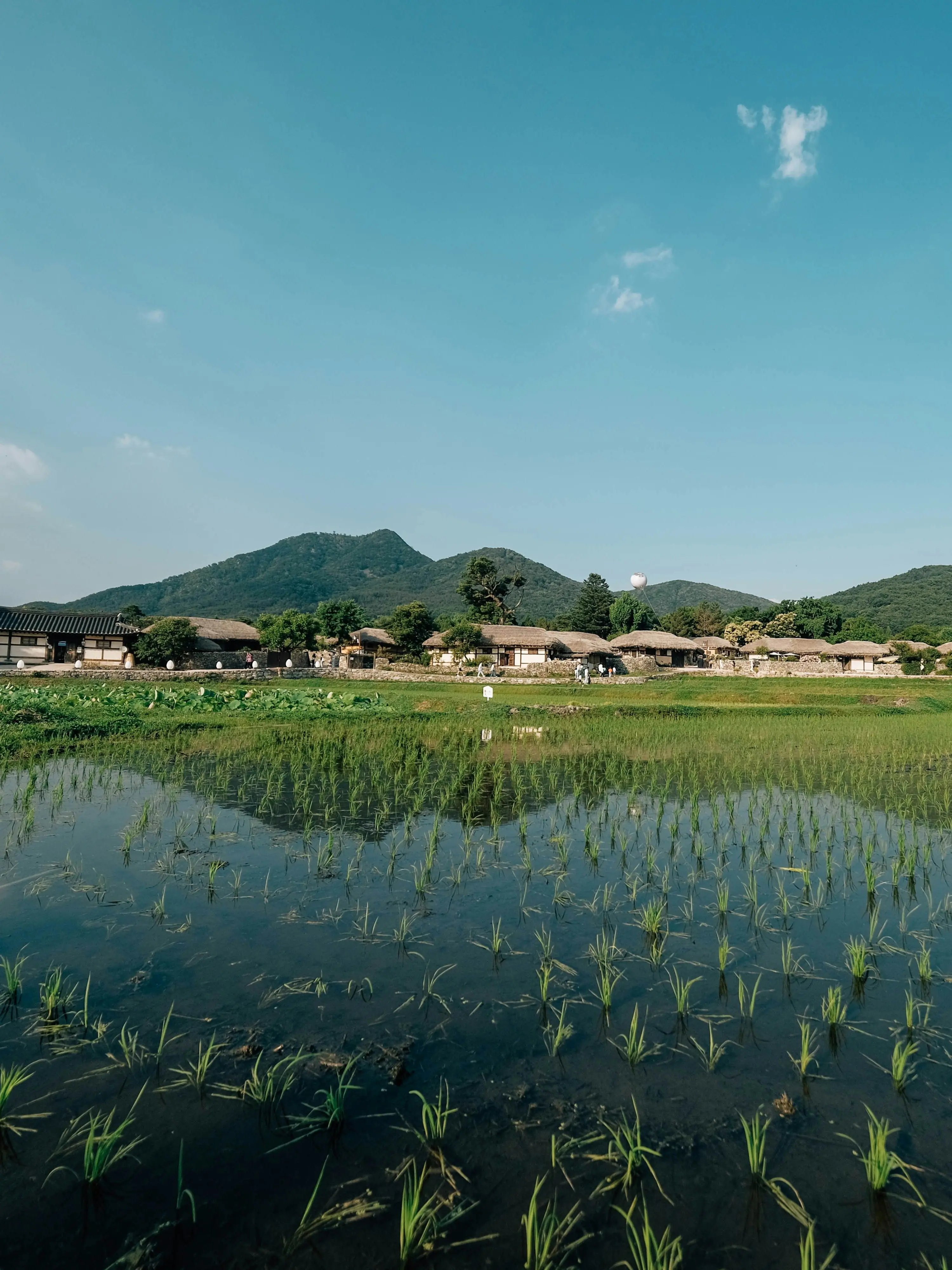 UntidySpicy6022의 패러다이스 시골 라이프