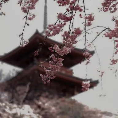 Profile image of 준브레드