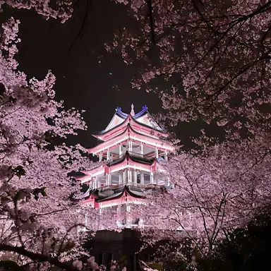 Profile image of 밥풀