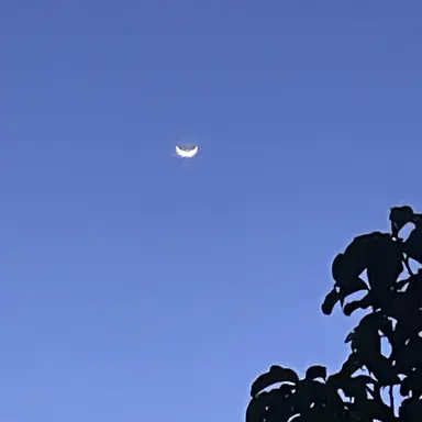 Profile image of Yankumi