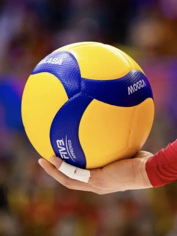 BeigeSun7119의 日本代表男子バレー 龍神🐉🇯🇵🏐