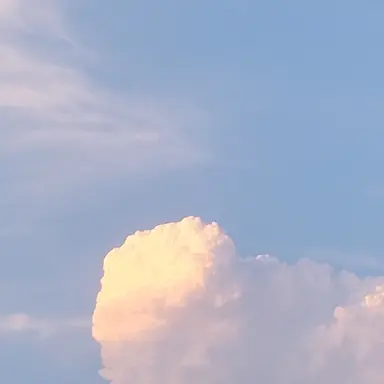 Profile image of 女子高生達