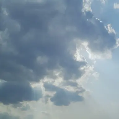 Profile image of 이계훈