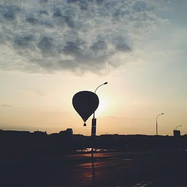 Profile image of 緋八マナ