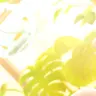 Profile image of 레카
