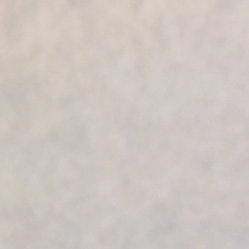 sei_7777의 自分用 可愛い獣人は依存させよ