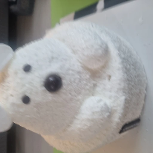 곰돌이