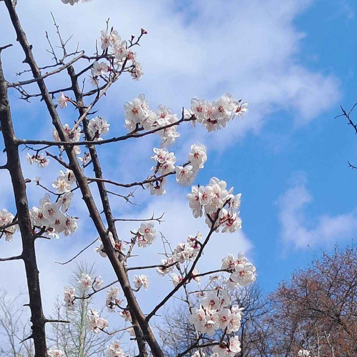 화산귀환