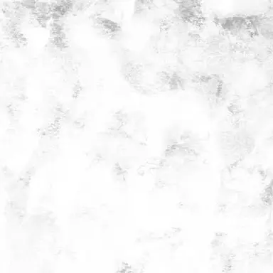 Profile image of ROCKY