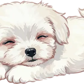 Profile image of ユン・シオン -モンジ-