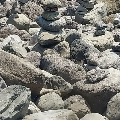 Profile image of 김한신